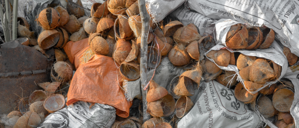 Shell Collection Service